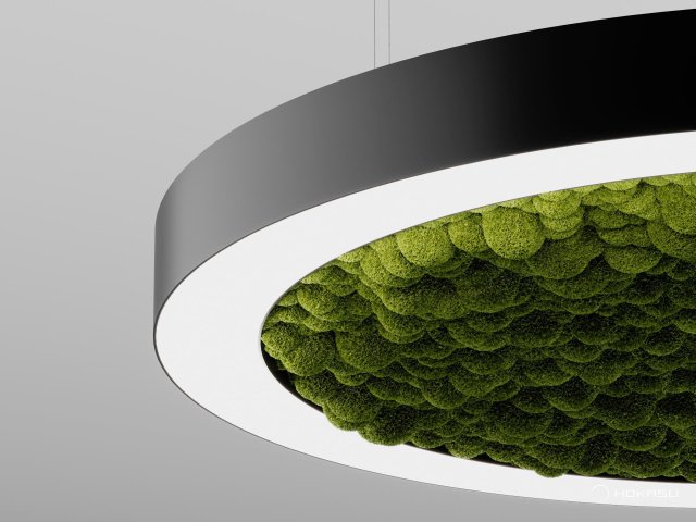 Modular lamp HOKASU Halo Moss (Ring with moss)