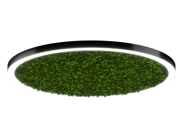 Lamp HOKASU Halo Moss (RAL9005/D1550/LT70 — 4K/146W/120deg)