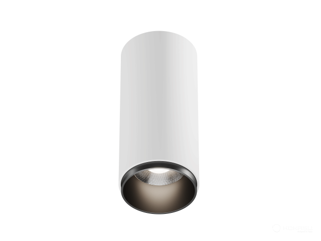 Lamp HOKASU Tube Zoom (RAL9003+B/D75/160mm — 2.7K/20W/12-50deg)