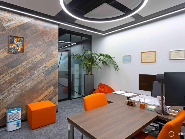 Suspended luminaire HOKASU Halo