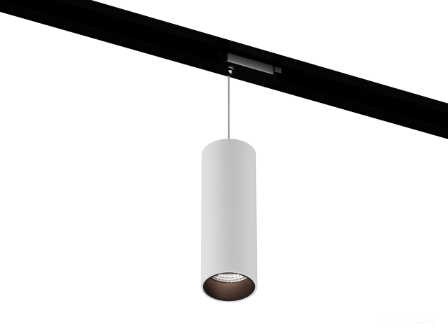 Lamp HOKASU Tube Hang TR2 (RAL9003+B/D55/160mm — 2.7K/10W/10deg)