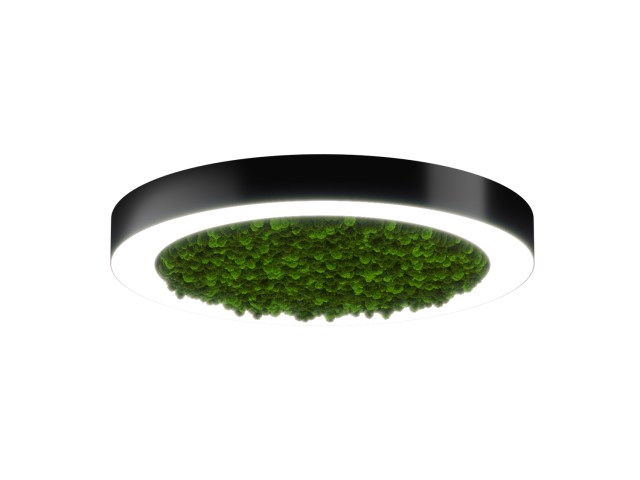 Lamp HOKASU Halo Moss (RAL9005/D625/LT70 — 4K/59W/120deg)