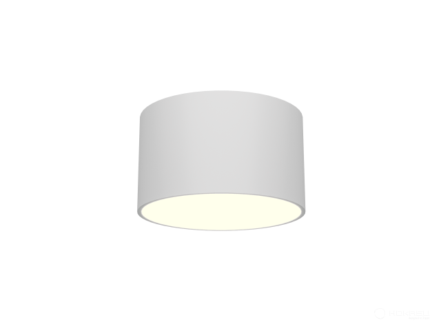 Lamp HOKASU MOON (RAL9003/85mm/LT70 — 3K/10W)