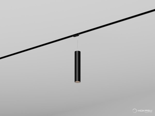 Track lamp HOKASU Tube Hang TR2