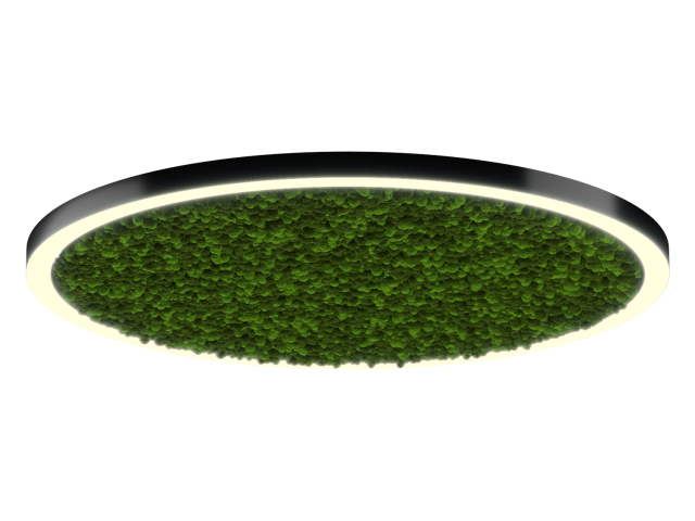 Lamp HOKASU Halo Moss (RAL9005/D1850/LT70 — 3K/174W/120deg)