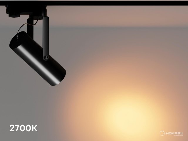 Track lamp HOKASU Tube Clip TR4