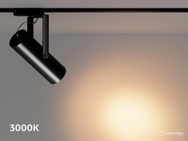 Track lamp HOKASU Tube Clip TR2