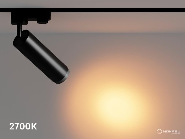 Track lamp HOKASU Tube Zoom TR4
