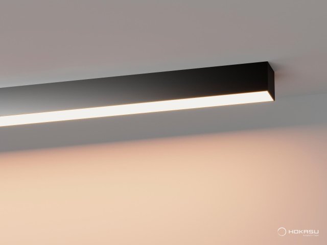 Linear lamp HOKASU S50 U&D