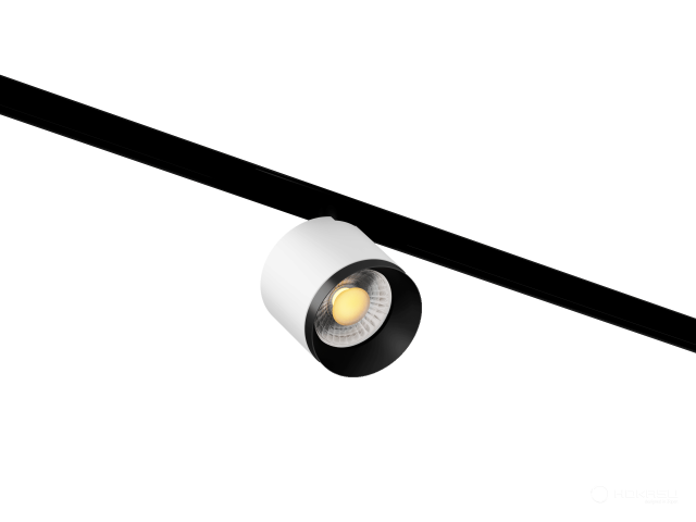 Lamp HOKASU OneLine DOT (RAL9003+B — 4K/10W/24deg)