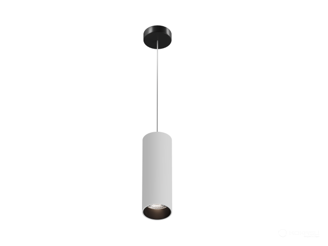 Lamp HOKASU Tube Hang (RAL9003+B/D55/160mm — 5K/10W/10deg)