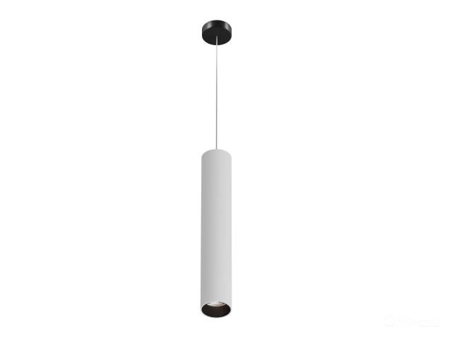 Lamp HOKASU Tube Hang+ (RAL9003+B/D55/320mm — 5K/10W/10deg)