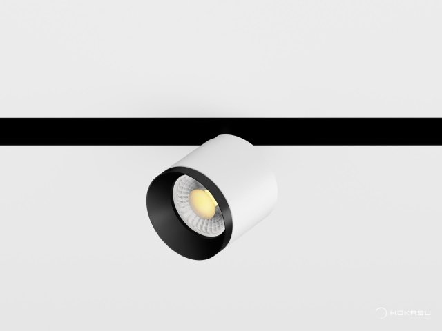 Lamp HOKASU OneLine DOT (RAL9003+B — 4K/10W/24deg)
