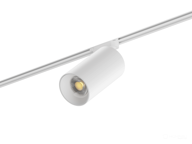 Lamp HOKASU Tube TR2 Lens (RAL9003/D85 — 3K/30W/24deg/CRI97/VB)