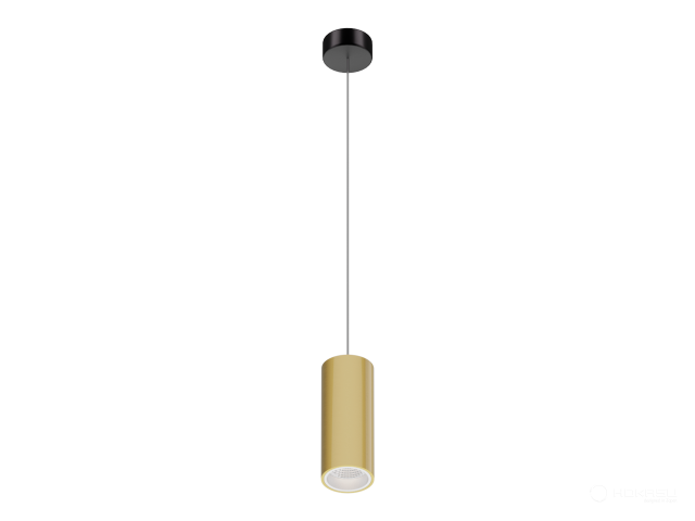 Lamp HOKASU Tube Hang (GOLD/D40/100mm/Lens — 2.7K/5W/24deg)
