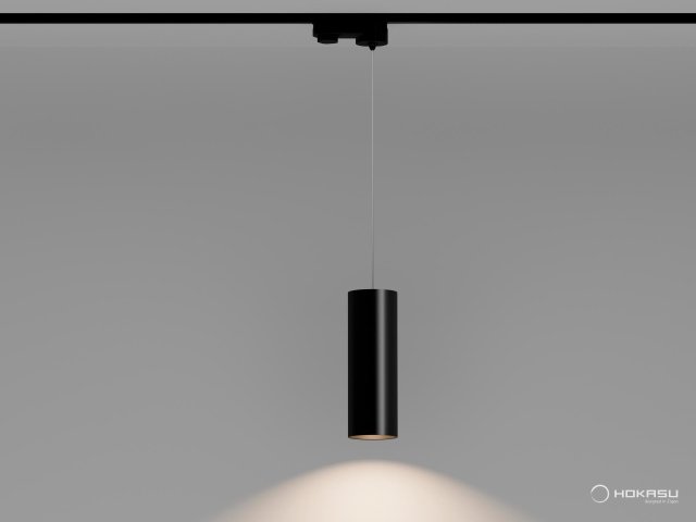Track lamp HOKASU Tube Hang TR4