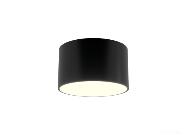 Lamp HOKASU MOON (RAL9005/85mm/LT70 — 3K/10W)