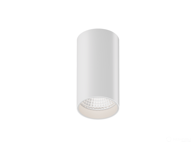 Lamp HOKASU Tube (RAL9003/D85 — 5K/40W/23deg/CRI97/VB)