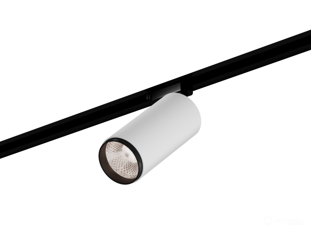 Lamp HOKASU Tube Zoom TR2 (RAL9003+B/D75/160mm — 5K/20W/12-50deg)