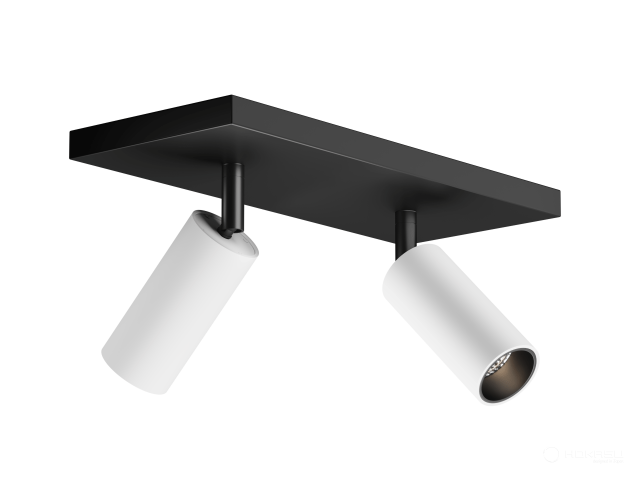 Lamp HOKASU Tube Duo (RAL9003+B/D40/Lens — 3K/10W/38deg/CRI98)