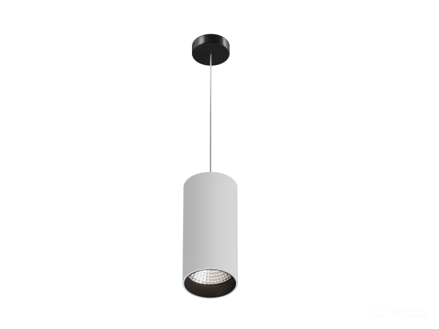 Lamp HOKASU Tube Hang (RAL9003+B/D75/160mm — 5K/20W/23deg)