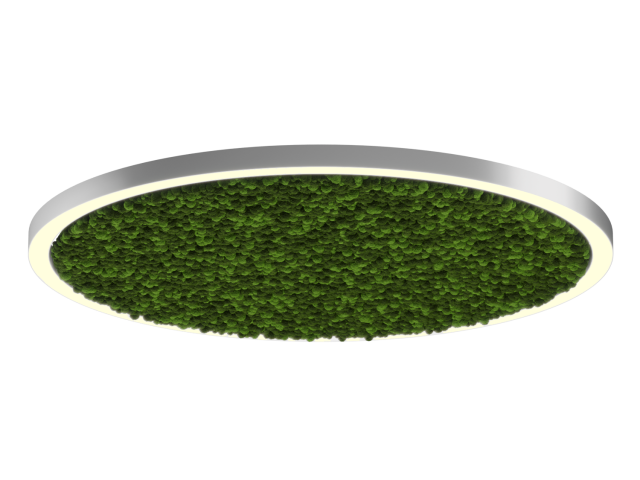 Lamp HOKASU Halo Moss (RAL9003/D1550/LT70 — 3K/146W/120deg)