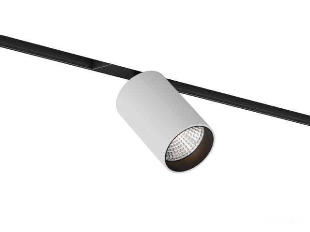 Lamp HOKASU OneLine Tube (RAL9003+B/D75/120mm — 3K/20W/10deg)