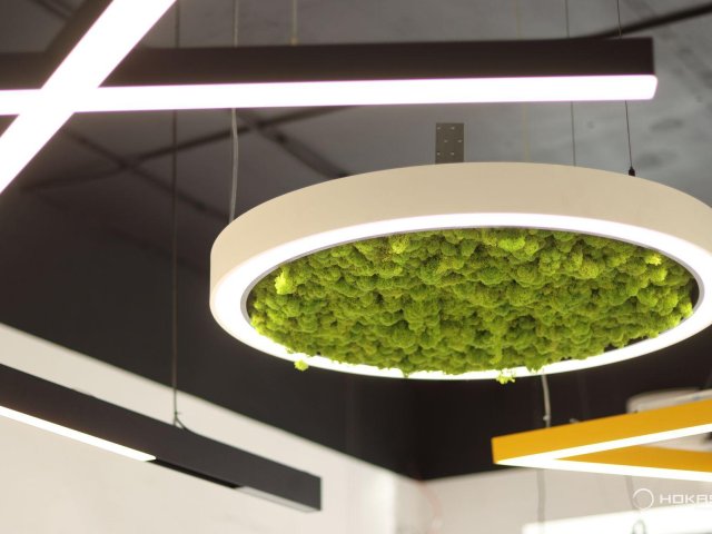 Modular lamp HOKASU Halo Moss (Ring with moss)