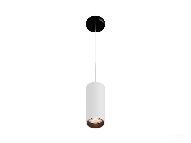 Lamp HOKASU Tube Hang (RAL9003+B/D85/160mm — 2.7K/30W/10deg)
