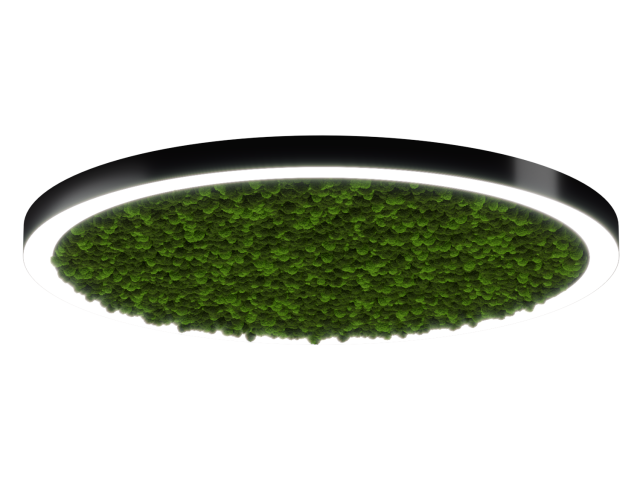 Lamp HOKASU Halo Moss (RAL9005/D1400/LT70 — 4K/132W/120deg)