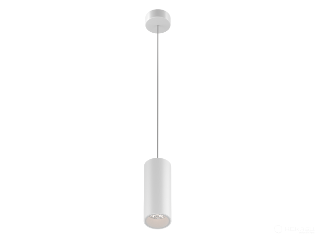 Lamp HOKASU Tube Hang (RAL9003/D40/100mm/Lens — 2.7K/5W/24deg)