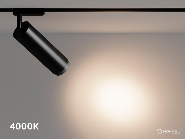 Track lamp HOKASU Tube Zoom TR2