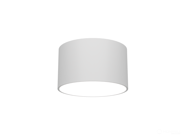 Lamp HOKASU MOON (RAL9003/85mm/LT70 — 4K/10W)