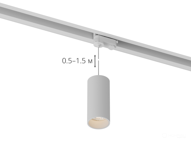 Lamp HOKASU Tube Hang TR4 (RAL9003/D55/160mm — 2.7K/10W/10deg)
