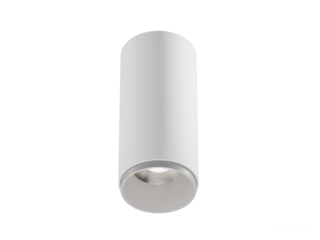 Lamp HOKASU Tube Zoom (RAL9003/D75/160mm — 5K/20W/12-50deg)