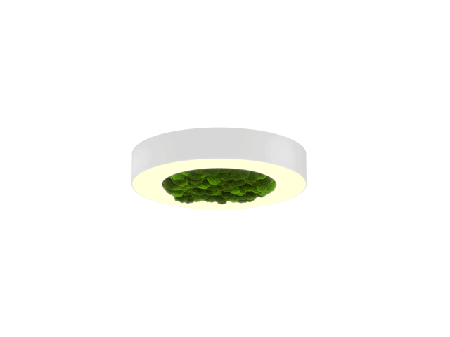 Lamp HOKASU Halo Moss (RAL9003/D425/LT70 — 3K/40W/120deg)