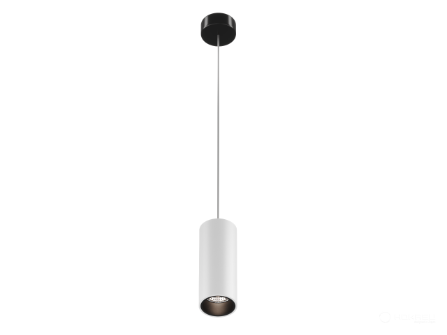 Lamp HOKASU Tube Hang (RAL9003+B/D40/100mm/Lens — 2.7K/5W/24deg)