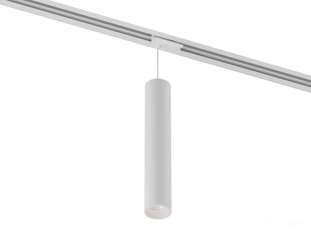 Lamp HOKASU Tube Hang TR2 (RAL9003/D55/320mm — 5K/10W/10deg)