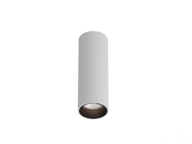 Lamp HOKASU Tube (RAL9003+B/D55 — 2.7K/10W/23deg/CRI98)