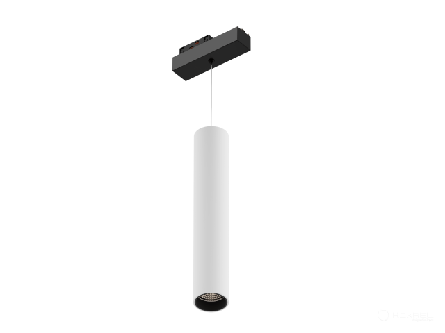 Lamp TrackLine Focus hang (RAL9003+B/D55/320mm — 3K/10W/38deg)