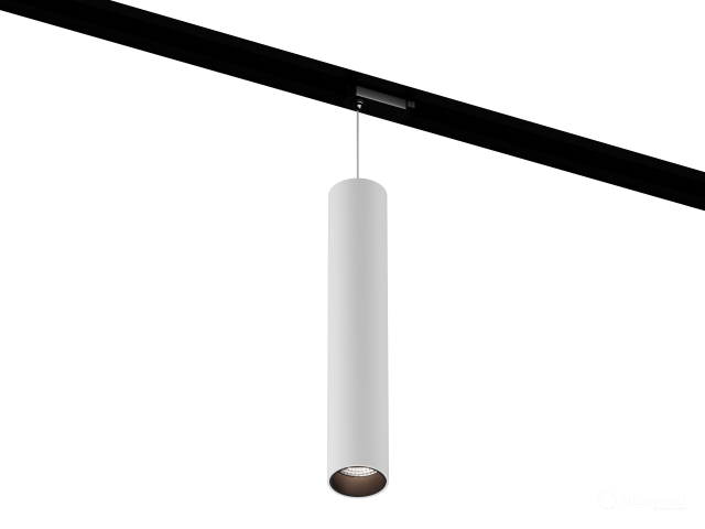 Lamp HOKASU Tube Hang TR2 (RAL9003+B/D55/320mm — 5K/10W/10deg)