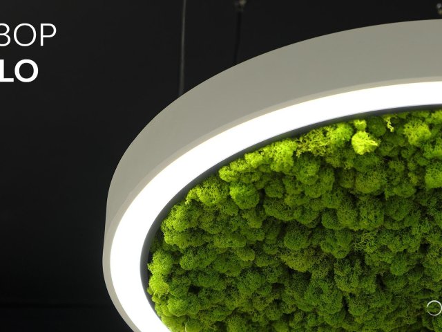 Modular lamp HOKASU Halo Moss (Ring with moss)