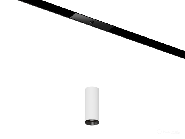 Lamp HOKASU OneLine Tube Hang (RAL9003+B/D40/100mm/Lens — 4K/7W/24deg)