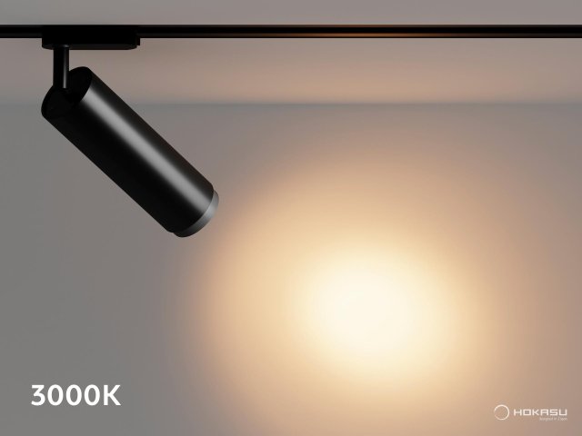 Track lamp HOKASU Tube Zoom TR2