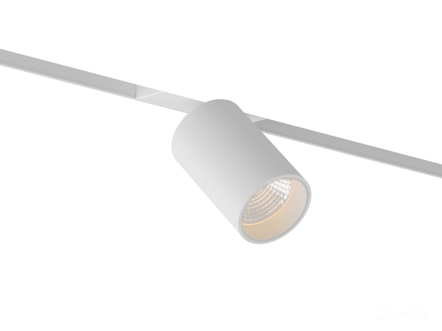 Lamp HOKASU OneLine Tube (RAL9003/D75/120mm — 4K/20W/10deg)