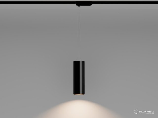 Track lamp HOKASU Tube Hang TR2