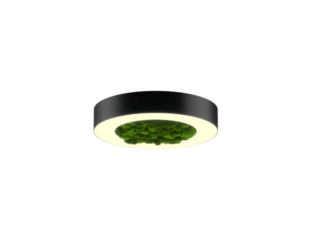 Lamp HOKASU Halo Moss (RAL9005/D425/LT70 — 3K/40W/120deg)