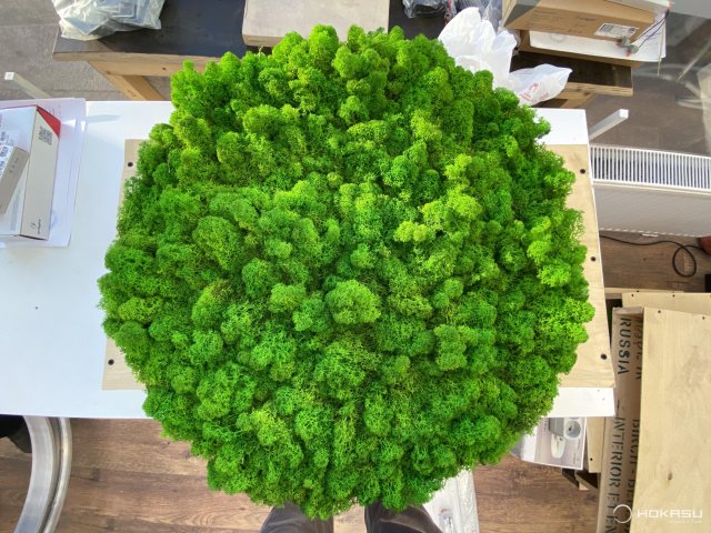 Lamp HOKASU Halo Moss (RAL9003/D625/LT70 — 3K/59W/120deg)