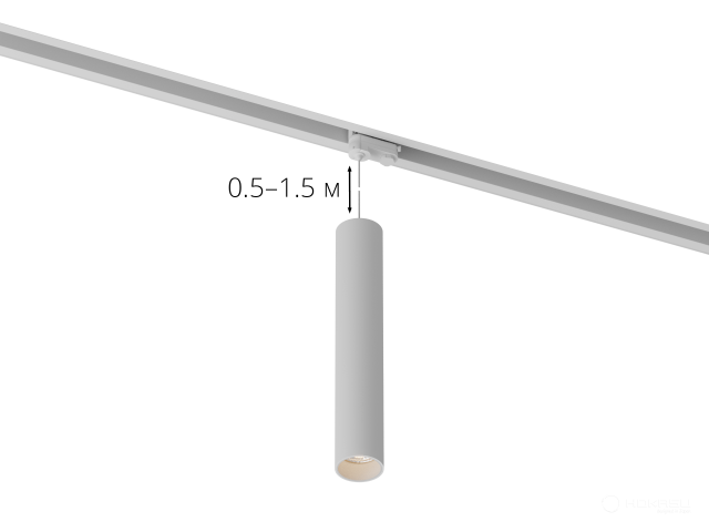 Lamp HOKASU Tube Hang TR4 (RAL9003/D55/320mm — 2.7K/10W/10deg)
