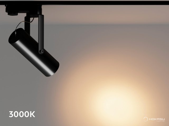 Track lamp HOKASU Tube Clip TR4